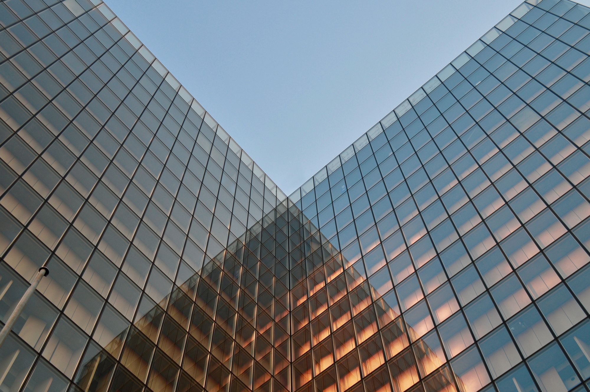What Is A Company For? Shaping Chaos Issue 5